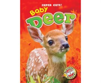 Baby_Deer